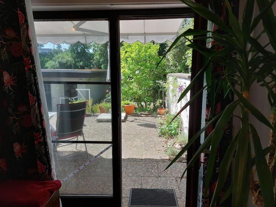 Grosszuegige Wohnung Mit Terrasse Wuerzburg, Zell Zell am Main المظهر الخارجي الصورة